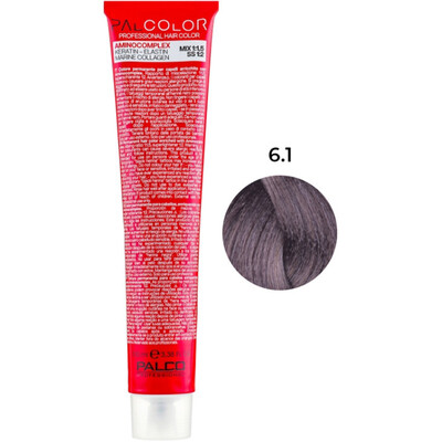 Крем-краска для волос Palco Professional Color № 6.1 блонд тёмный пепельный, 100 мл