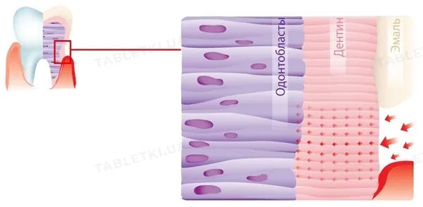 Ополіскувач для порожнини рота Dr.Wild Emofluor Daily Care, 400 мл