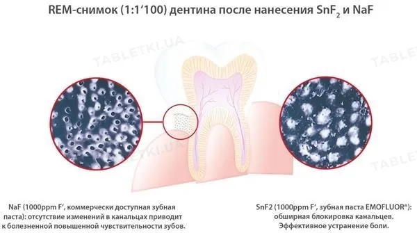 Ополіскувач для порожнини рота Dr.Wild Emofluor Daily Care, 400 мл