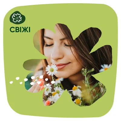 Прокладки щоденні Naturella Camomile Normal, 20 шт