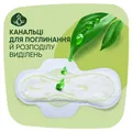 Прокладки гігієнічні Naturella Classic Normal 4 краплі, 40 шт
