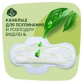 Прокладки гігієнічні Naturella Classic Maxi 5 крапель, 8 шт
