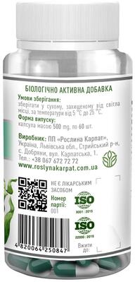 Спирулина Р.К. Chlorella Рослина Карпат капсулы по 500 мг №60