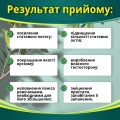 АирБул капсулы №8 в блис.