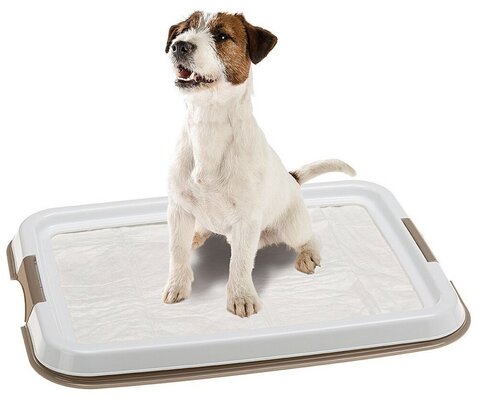 Туалет для собак FERPLAST Hygienic Pad Tray Small під пелюшку