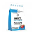 Гейнер Bodyperson Labs Gainer Mass Activator полуниця, 2 кг