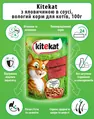Корм вологий для кішок Kitekat з яловичиною в соусі, 100 г
