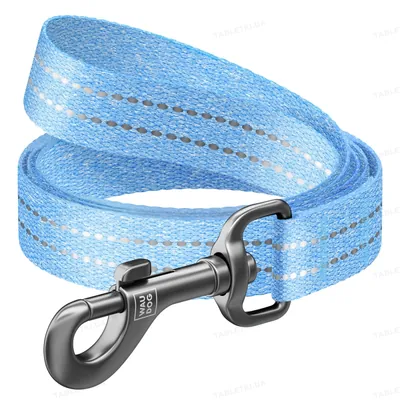 Повідець Collar WAUDOG Re-cotton з відновленої бавовни, ширина 25 мм довжина 200 см, блакитний