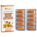 Супозиторії Медок з маточним молочком і олією обліпихи №10