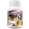 Вітаміни для собак та кішок FunVit BIOTIN OMEGA блискуча шерсть з Омега-3, 90 штук