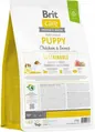 Корм сухий для цуценят Brit Care Dog Sustainable Puppy з куркою та комахами, 3 кг