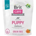Корм сухий для цуценят Brit Care Dog Grain-free Puppy беззерновий з лососем, 1 кг