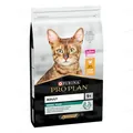 Корм сухий для котів Purina Pro Plan Original з куркою, 10 кг
