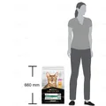Корм сухий для котів Purina Pro Plan Original з куркою, 10 кг
