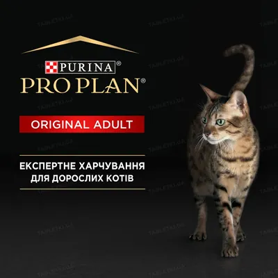 Корм сухий для котів Purina Pro Plan Original з куркою, 400 г