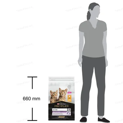 Корм сухий для кошенят Purina Pro Plan Original Kitten з куркою, 10 кг
