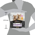 Корм сухий для кошенят Purina Pro Plan Original Kitten з куркою, 400 г
