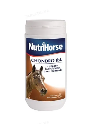 Хондропротектор для коней Canvit Nutri Horse Chondro для підтримки суглобового апарату, 1 кг