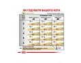Корм сухий для кішок Royal Canin Urinary S / O Feline з сечокам'яною хворобою, 3,5 кг
