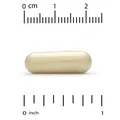 Бенфотіамін California Gold Nutrition Benfotiamine 150 мг вег. капсули №90