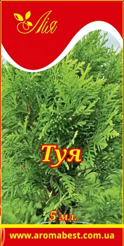 Олія ефірна Лія Туя, 5 мл