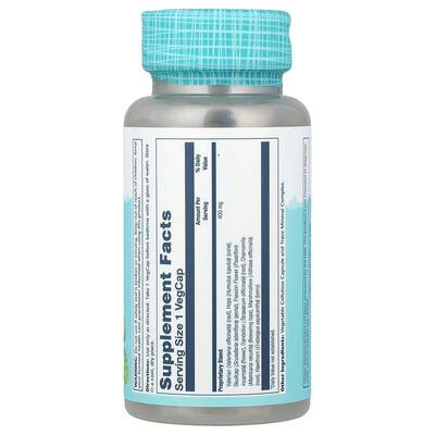 Спокойный сон Solaray Sleep Blend SP-17, 100 вегетарианских капсул