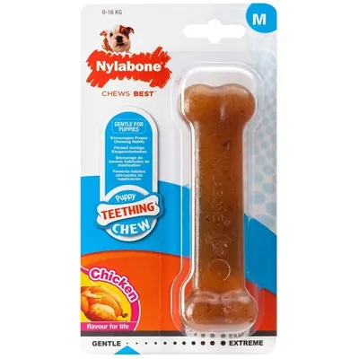 Іграшка для цуценят Nylabone Chew Bone Puppy кістка жувальна, смак курки