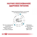 Корм сухой для собак Royal Canin Hypoallergenic при пищевой аллергии, 2 кг