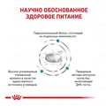 Корм сухий для собак Royal Canin Hypoallergenic при харчовій алергії, 2 кг