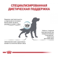 Корм сухой для собак Royal Canin Hypoallergenic при пищевой аллергии, 2 кг