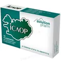 Іслор Solution Pharm льодяники зі смаком м'яти та евкаліпта №16