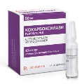 Кокарбоксилазы гидрохлорид лиофилизат для р-ра д/ин. по 0.05 г №10 во флак. с р-лем