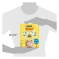 Корм сухий для кішок Purina Friskies з лососем і овочами, 300 г