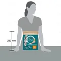 Корм сухий для кішок Purina One Adult Cat Chicken & WhlG з куркою, 800 г