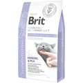 Корм сухий Brit VetDiets Gastrointestinal для дорослих кішок з оселедцем и лососем, 2 кг