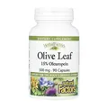 Оливи листя Natural Factors HerbalFactors Olive Leaf 500 мг, 90 капсул