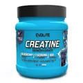 Креатин Evolite Nutrition Creatine Monohydrate чорниця, 500 г