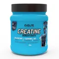 Креатин Evolite Nutrition Creatine Monohydrate чорниця, 300 г
