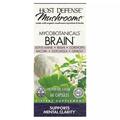 Грибной комплекс для здоровья мозга Fungi Perfecti MycoBotanicals Brain, 60 капсул