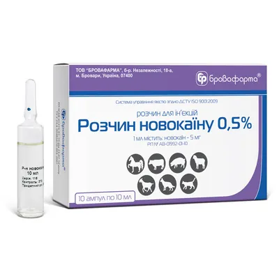 Новокаїн 0,5% (ДЛЯ ТВАРИН) розчин, 10 ампул по 10 мл