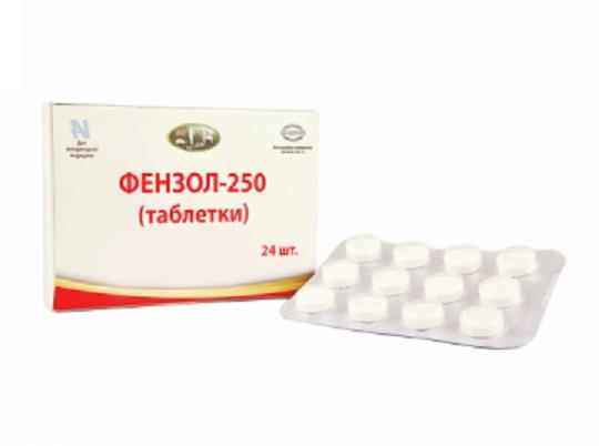 Фензол 250 (ДЛЯ ЖИВОТНЫХ), 24 таблетки