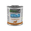 Корм влажный Farmina Vet Life Convalescence для собак для восстановления питания и выздоровления, 300 г