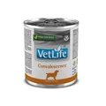 Корм вологий Farmina Vet Life Convalescence для собак для відновлення харчування та одужання, 300 г