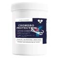Хондропротектор En'vie Lab 7 Active Component с коллагеном 2 типа для суставов, со вкусом лесных ягод, порошок, 30 порций