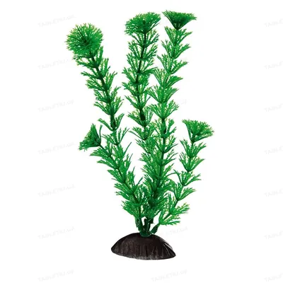 Декорація для акваріумів Ferplast BLU 9060 Cabomba