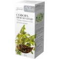 Фіточай Naturalis Софори японської плоди по 50 г у пач.