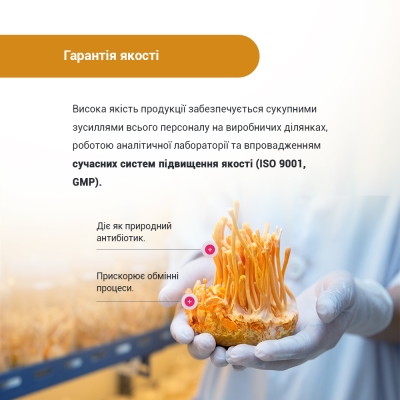 Кордицепс супер капсулы по 400 мг №60