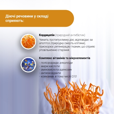 Кордицепс супер капсулы по 400 мг №60