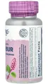 Білокопитника кореня екстракт Solaray Butterbur Root Extract 50 мг вег. капсули №60