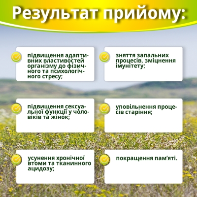 Ашваганда супер концентрат по 500 мг №60